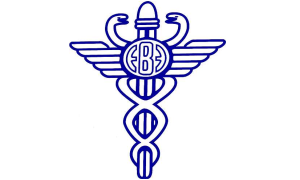 Εμπορικό και Βιομηχανικό Επιμελητήριο Πειραιώς